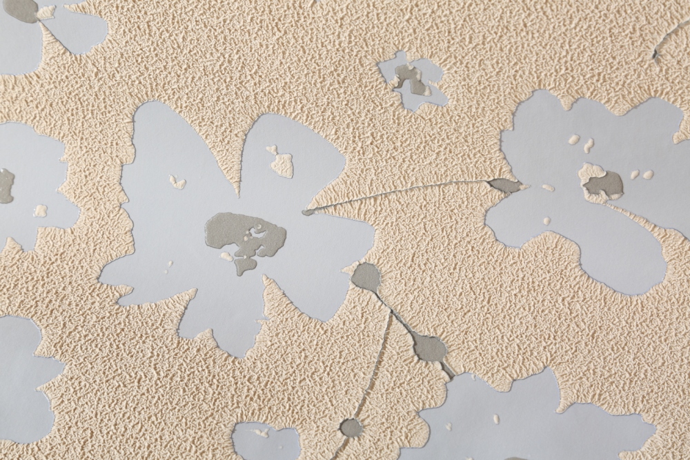 電地暖水地暖哪個好_地暖電和水的區(qū)別_地暖水好還是電好